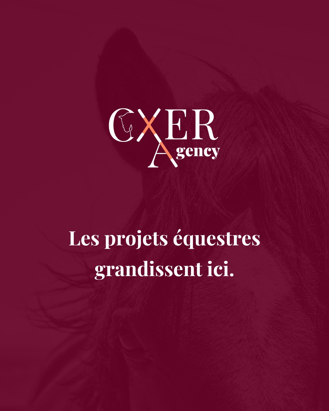 Et si vous pouviez accéder à toutes les pubs de vos concurrents en 2 clics ? 👀 🎯
C’est possible grâce à la bibliothèque publicitaire. ✅
Il vous suffit de taper “Ad Library” dans Google. 🔍
Et ensuite : renseigner le pays, la catégorie publicitaire et rechercher le concurrent souhaité en tapant directement son nom ou un mot-clé.
Vous accéderez à toutes ses publicités actives :
- date de début de diffusion
- les plateformes utilisées
- la description
- le visuel
- le CTA
Des insights précieux pour votre veille stratégique. L’idée n’est pas de reproduire, mais d’en extraire les bons enseignements. 💡
Vous accéderez aussi à des données de performance, comme la couverture. 📈
Et plus encore : le pays de diffusion et la répartition de la couverture par tranches d’âges et genre.
Pourquoi avons-nous accès à ces informations ? 🤔
La transparence !
Après plusieurs scandales liés aux élections, notamment l’affaire Cambridge Analytica, Meta a été contraint de renforcer la transparence de ses publicités.
Dès 2018, une première version de la bibliothèque publicitaire est lancée, initialement dédiée aux publicités politiques.
Pour aller plus loin, l’onglet “Rapport de la bibliothèque publicitaire” permet d’analyser les publicités politiques et sociétales en détail : montants investis, portée estimée, répartition des audiences…
Et vos publicités dans tout ça… sont-elles visibles aussi ? 👀
Oui ! ✅
Depuis 2019, la bibliothèque publicitaire ne se limite plus aux publicités à caractère politique : elle regroupe désormais les publicités de toutes les marques.
Cependant, une limite subsiste pour les annonceurs “classiques” : même si les publicités sont visibles, certaines données restent inaccessibles :
❌ le budget exact
❌ les performances (ROAS, conversions…)
❌ le ciblage précis
❌ les résultats business
Alors, pourquoi ne pas aller jeter un œil aux publicités de vos concurrents ? 🤫
Stratégie publicitaire - Marketing cheval - Communication filière équine - Oxer Agency - Agence de communication et marketing équestre - Meta Ads