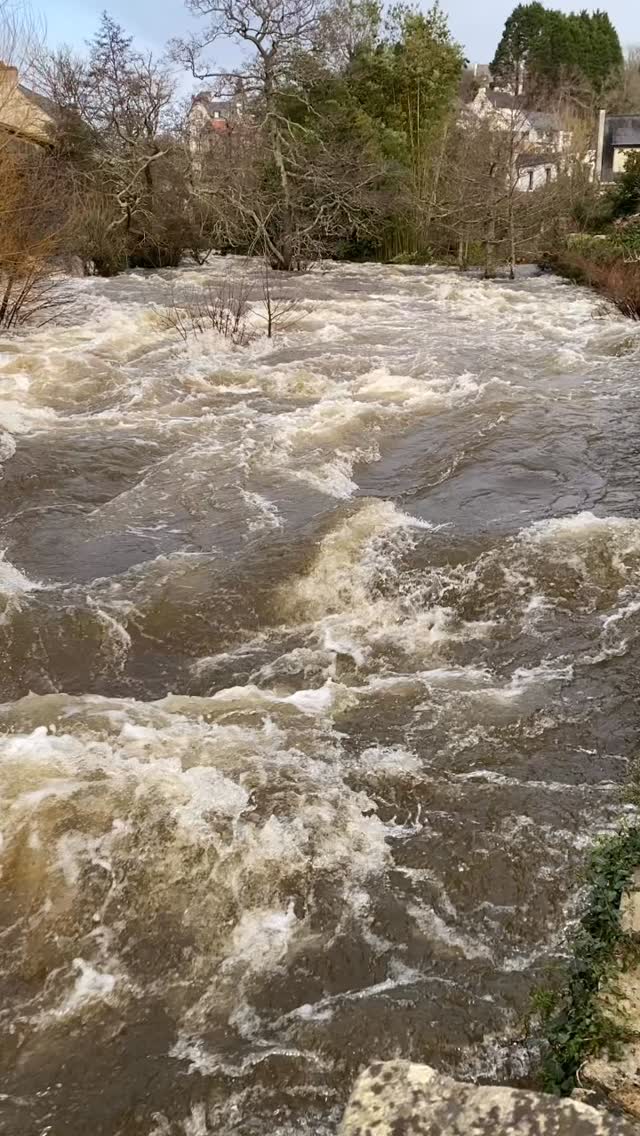27 janvier 2026….l’Aven tient bon !
La rivière est en crue. Elle fait son travail : elle évacue, elle pousse, elle file vers la mer
Mais
🌙 la marée haute arrive.
Et là, c’est le moment de vérité ça passe ou ça déborde
La ville se prépare.
Commerçants, habitants, services… chacun anticipe, surveille, lève les yeux vers l’eau et le ciel
C’est la vigilance version bretonne : calme avec les bottes pas loin.
On croise les doigts, on garde l’œil ouvert, et on laisse la rivière faire son job — on reste prêts.
💧 À suivre cette nuit.
#Vigilance #Crue #VilleEnAlerte #OnObserve #Solidaires