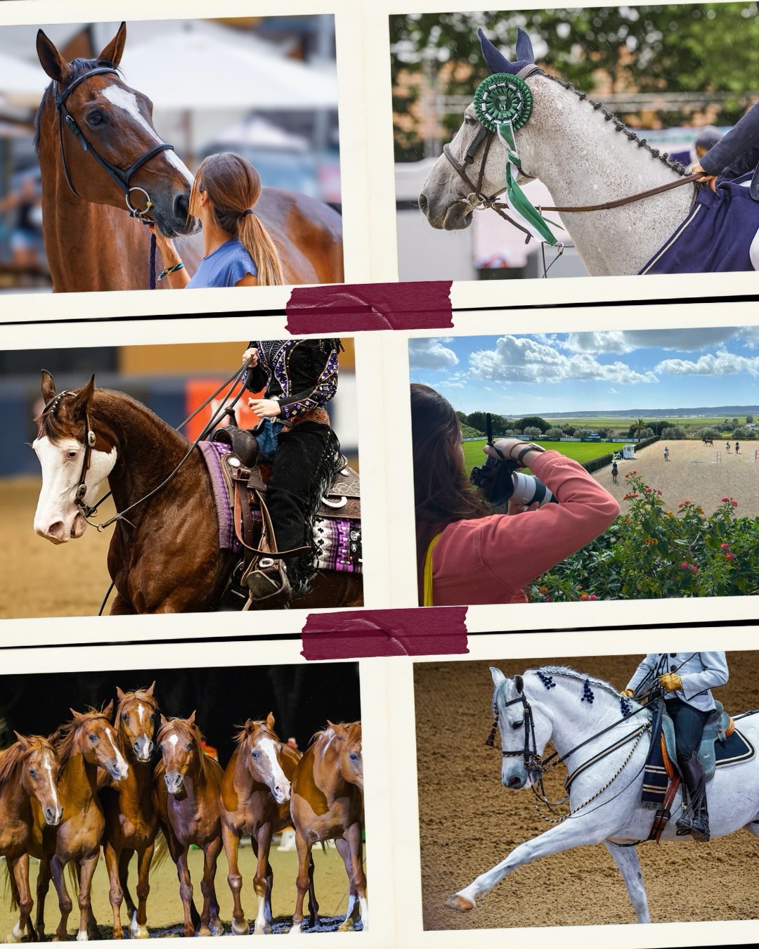 Merci 2025 🤍
Une année marquée par des temps forts 🔥 :
- Heureuse d’avoir pu accompagner 17 clients cette année dans le développement de leur communication 📲
- Je me suis rendue à plusieurs événements équestres en France & à l’étranger : Equitalyon, Andalucia Sunshine Tour, Jumping de Vichy, le SICAB…🐴
- J’ai collaboré pour la première fois avec un incubateur d’entreprises pour accompagner un porteur de projet dans la commercialisation d’un produit innovant sur le marché équin 🚀 Ce qui a donné naissance à « L’observatoire du secteur équestre » par Oxer Agency 👀
- J’ai intégré le pôle Hippolia 🤝
- Et pour finir mon année a été marquée par un voyage de 3 semaines au Kirghizstan 🇰🇬 Une chevauchée fantastique à travers les steppes et monts célestes 🏔️
Ce qui arrive en 2026…📝
Cette nouvelle année, je continue de vous accompagner en communication mais aussi en lancement de projet équestre 📈
Je suis entrain de structurer deux nouvelles offres : une côté PROJET pour les porteurs de projets innovants💡et une nouvelle, en plus de ce qui existe déjà, côté COM pour répondre aux besoins des professionnels indépendants (bit-fitter, osteo, maréchal, etc) 🎨
En route pour de nouvelles aventures ensemble en 2026 ✨🤝