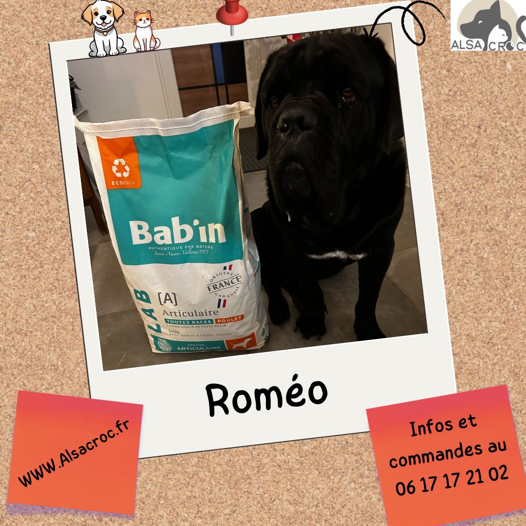 🐾 Votre chien a des articulations sensibles ?BAB’IN LAB ADULTE ARTICULAIRE est spécialement conçu pour les chiens de moyenne et grande taille.✅ Soutien articulaire renforcé : Avec un complexe exclusif de glucosamine & chondroïtine (2000 mg/kg).
✅ Action naturelle : Harpagophytum, Reine des prés, Prêle et Feuille de cassis pour un confort optimal.
✅ Oméga-3 & EPA : Huile de poisson, graines de chia et de lin pour nourrir les articulations de l’intérieur.
✅ Poids de forme : Apport énergétique maîtrisé, riche en fibres et protéines pour une musculature saine.Leur mobilité, c’est leur liberté➡️ Parfait pour : Les chiens actifs, les seniors ou toute race prédisposée aux sensibilités articulaires.#BabInLab #Chien #SantéAnimale #Articulations #ChienAdulte GrandChien AlimentationChien NaturalCare Mobilité BienÊtreAnimal