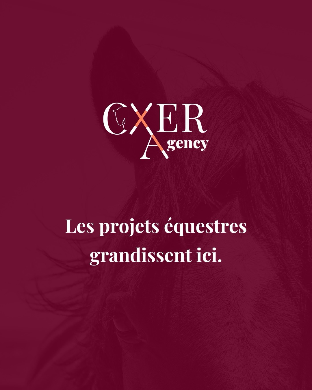 📊 Le KPI qui vous dit vraiment si votre newsletter convertit.
(Spoiler : ce n’est pas le taux d’ouverture 👀)
Quand on analyse une newsletter, on regarde presque toujours le taux d’ouverture en premier. Normal. 📬
Mais en réalité, ce chiffre vous dit surtout :
👉 si votre objet fonctionne
👉 et quelle part de votre base totale ouvre votre email
Ensuite, on passe souvent au taux de clics.
Utile… mais parfois trompeur 🤔 Pourquoi ?
Parce qu’il est calculé sur tous les emails délivrés, y compris ceux qui n’ont jamais été ouverts.
🎯 Le vrai indicateur à regarder, c’est le click-to-open rate (CTOR).
Il mesure le pourcentage de clics parmi les personnes qui ont réellement ouvert votre newsletter.
💡 Autrement dit :
👉 est-ce que votre contenu donne envie d’agir
👉 est-ce que votre message intéresse vraiment
👉 est-ce qu’il convertit ceux qui le lisent
(et pas forcément en ventes : ça peut être une redirection vers un article, un protocole, une ressource, etc.)
👀 Petit exercice :
Allez jeter un œil au click-to-open rate de votre dernière newsletter.
On est bien loin des statistiques du CTR « classique ».
Personnellement, je trouve cet indicateur bien plus pertinent : une personne qui n’a jamais ouvert votre email ne cliquera jamais dessus. Alors pourquoi l’inclure pour évaluer la performance de votre contenu ?
