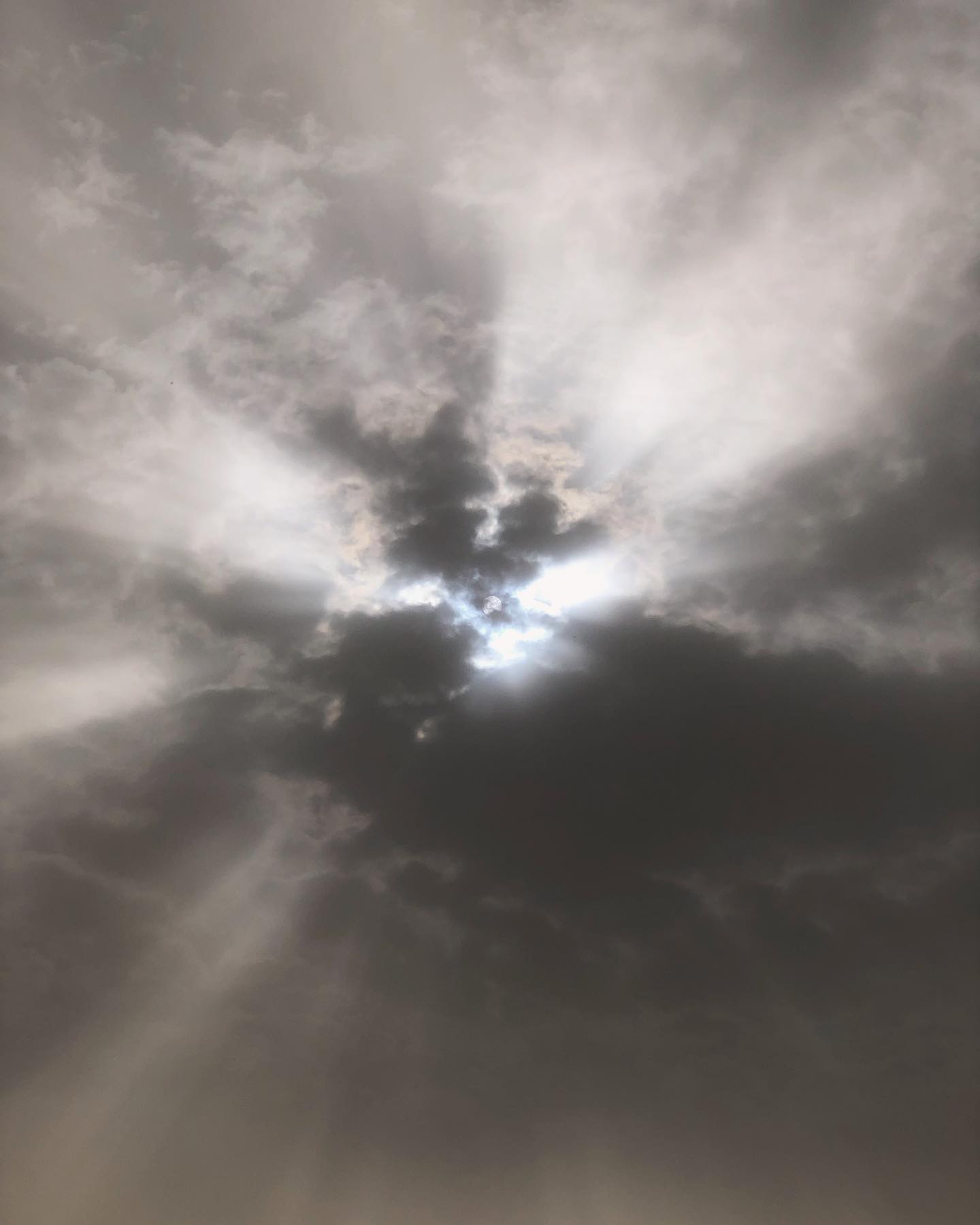 ✨Passage de Sirocco, un vent du Sahara qui a créé une ambiance très particulière le lundi 8 avril.
« Viento…que vienes del desierto, viento tráenos el silencio…vuela vuela vuela vuela…con nosotros🌬️🌬️🌬️
#contemplation #contemplacion #siroco #blanes #terapiaenergética #paz #gratitud #paix #gratitude #gratitude