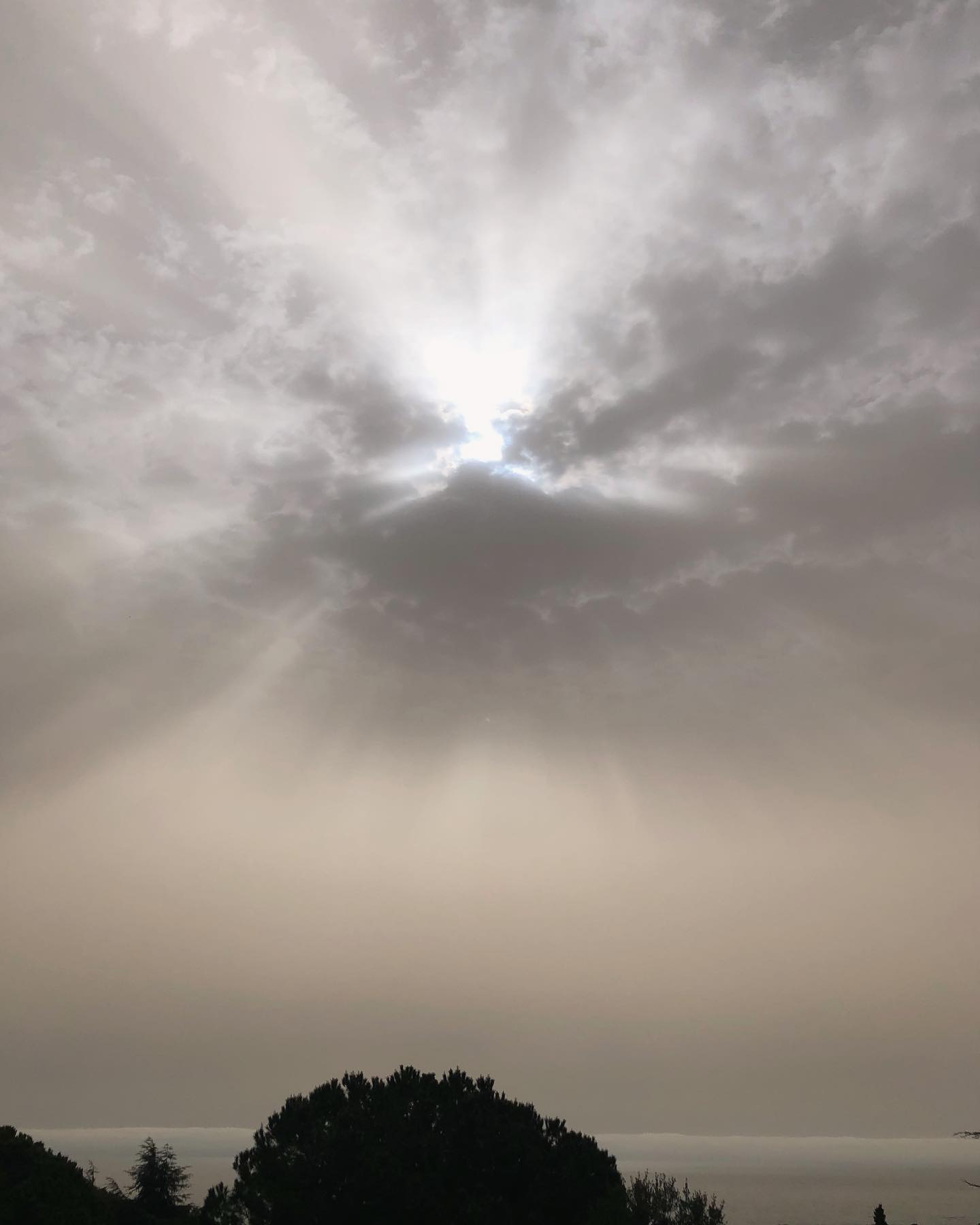✨Passage de Sirocco, un vent du Sahara qui a créé une ambiance très particulière le lundi 8 avril.
« Viento…que vienes del desierto, viento tráenos el silencio…vuela vuela vuela vuela…con nosotros🌬️🌬️🌬️
#contemplation #contemplacion #siroco #blanes #terapiaenergética #paz #gratitud #paix #gratitude #gratitude
