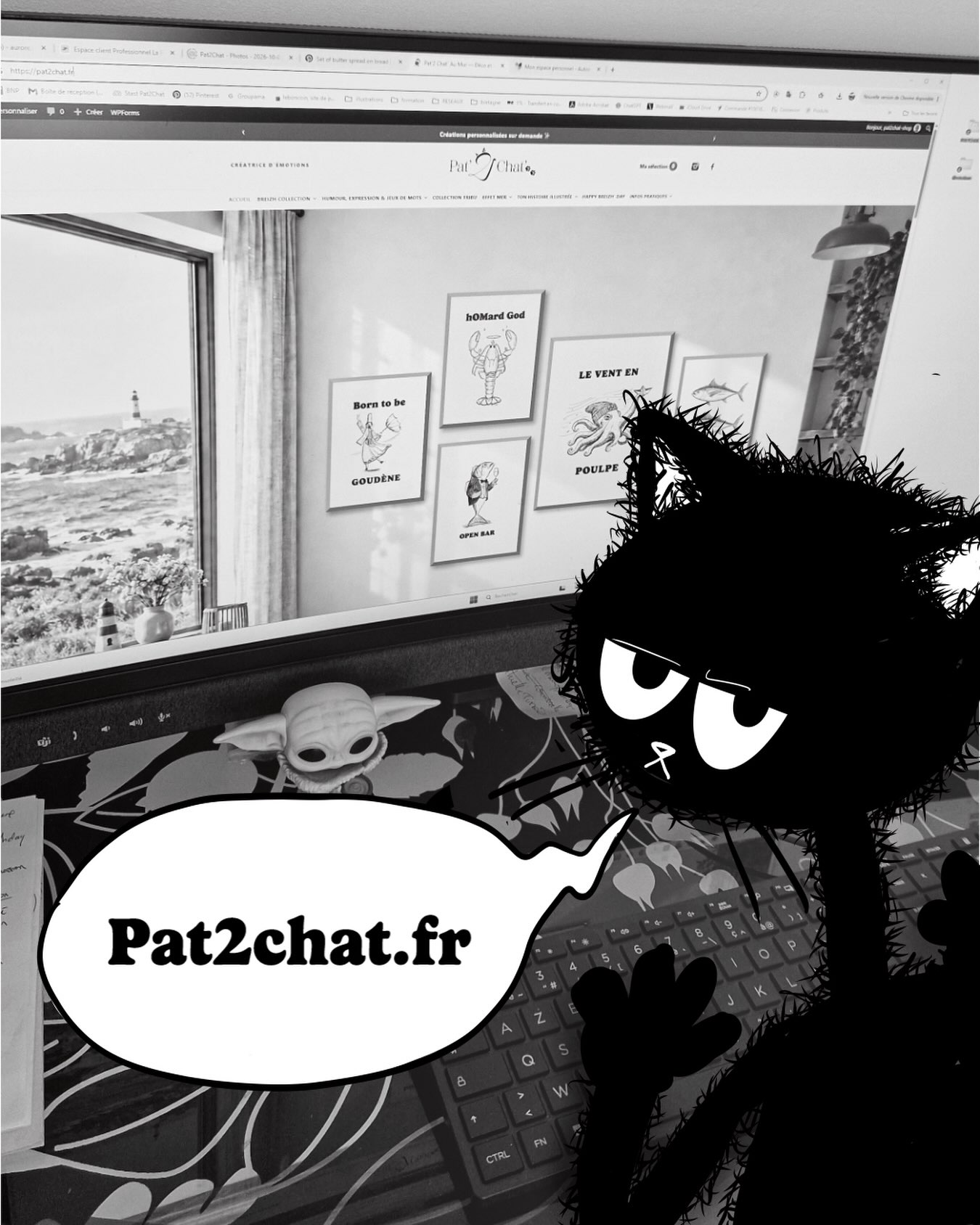 🐟 CHAT THON A SON PROPRE QG. Oui, Monsieur a désormais un site à son image. Autant vous dire qu’il se sent pousser des…